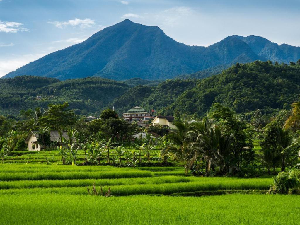 Bogor Valley Hotel Exterior foto